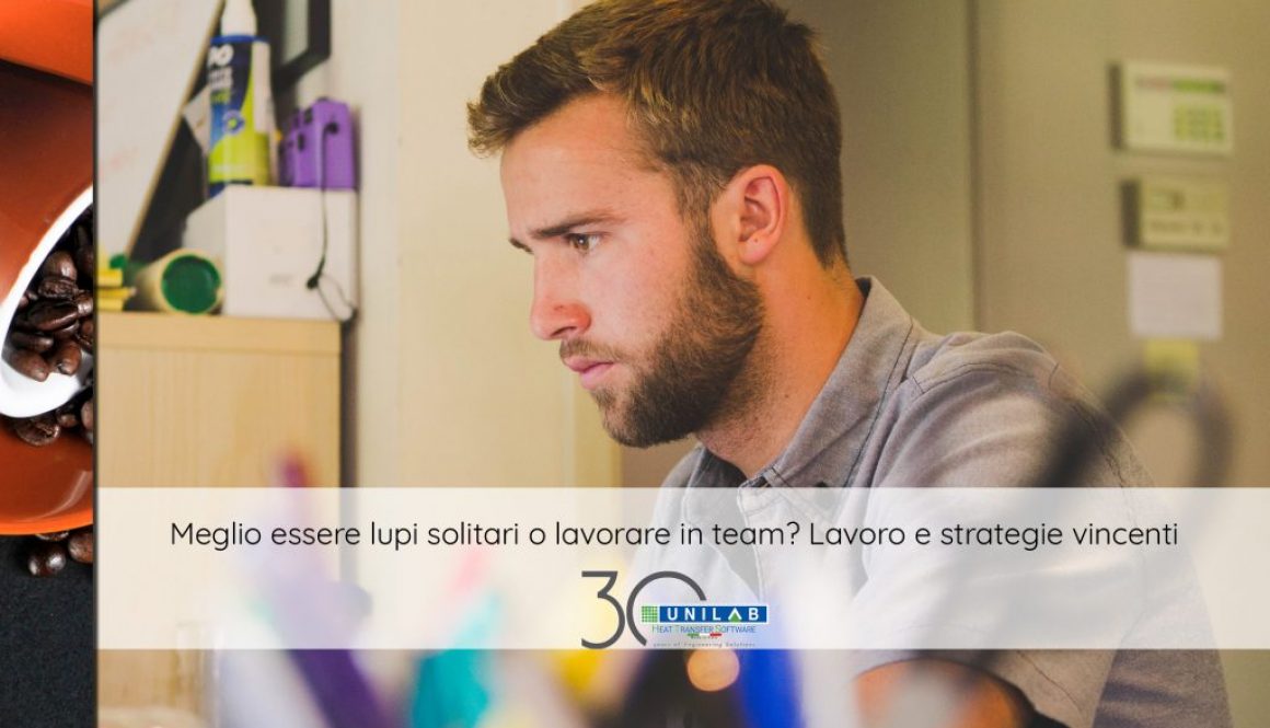 unilab_blog_software_scambio_termico_lupi_solitari_lavoro_team