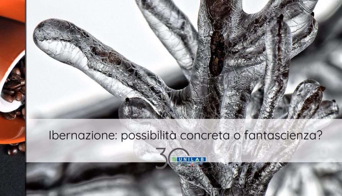 unilab_blog_software_scambio_termico_ibernazione_concreta_fantascienza