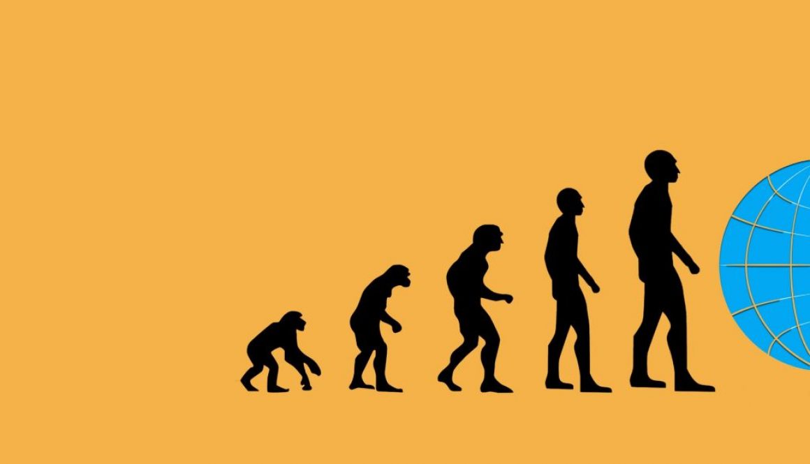 unilab blog software scambio termico software evolution