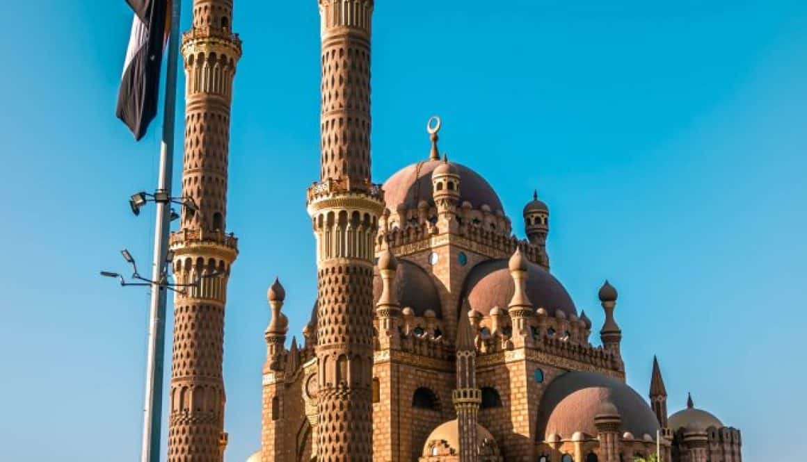 unilab heat transfer software blog COP27