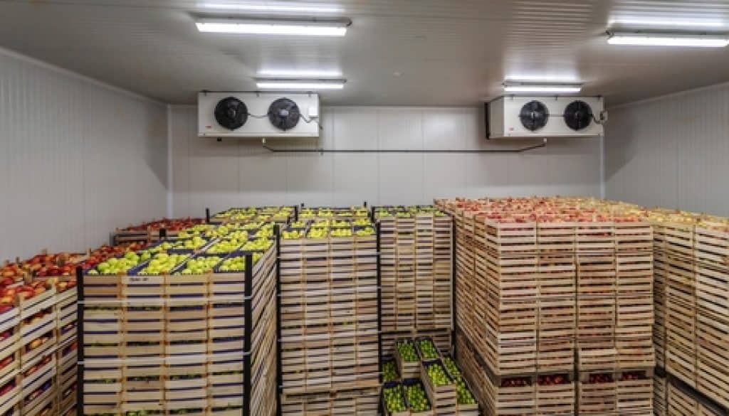 Fruits,In,Crates,Ready,For,Shipping.,Cold,Storage,Interior.