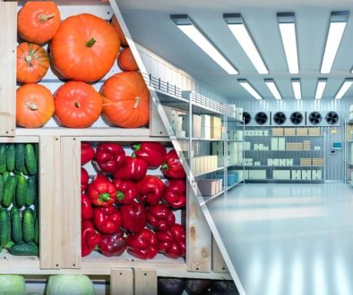 Refrigeration,Chamber,For,Food,Storage.,Pumpkins,And,Cucumbers,In,Wooden