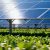 A,Vast,Field,Of,Blue,Solar,Panels,Standing,Above,A